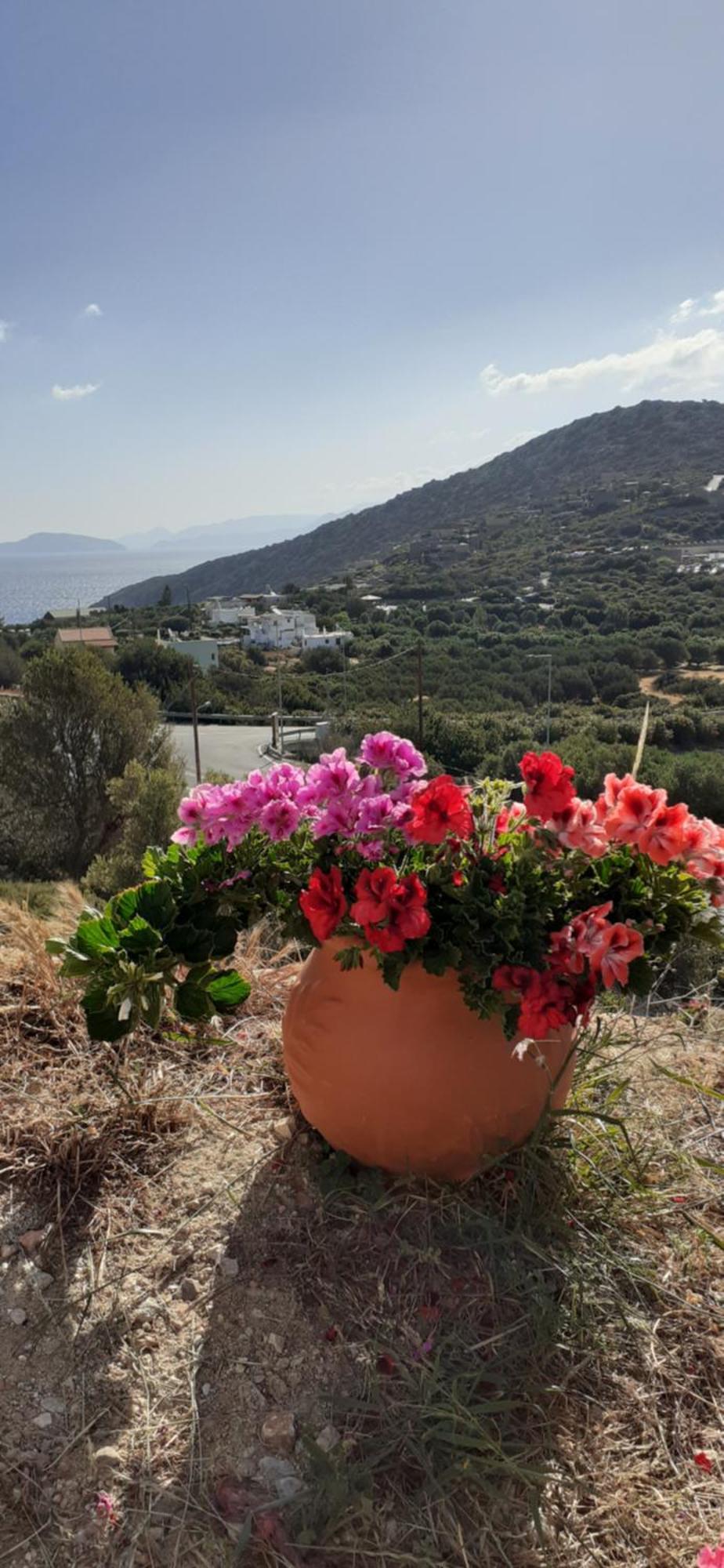 Hari Apartments Vathi, Agios Nikolaos Crete 外观 照片